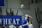 VB vs MHC  Wheaton Women's Volleyball vs Mount Holyoke College. - Photo by Keith Nordstrom : Wheaton, Volleyball, VB